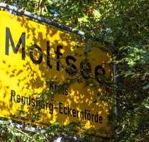 Haus zum Kaufen in Molfsee 385.000,00 € 130 m²