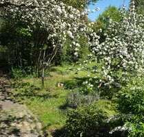 Grundstück zu verkaufen in Panketal 270.000,00 € 698 m²