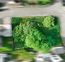 Grundstück zu verkaufen in Mainburg 335.000,00 € 609 m²