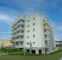 Wohnung zum Mieten in Biebesheim 643,75 € 62.5 m²