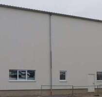 Halle in Biebesheim 3.300,00 € 606.5 m²
