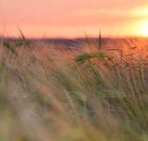 Wohnung zum Mieten in Schwedt 375,00 € 58 m²