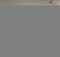 Wohnung zum Kaufen in Bochum 235.000,00 € 79 m²