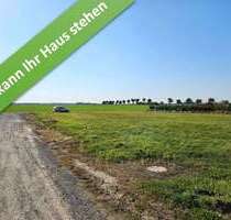 Haus zum Kaufen in Schweringen 316.850,00 € 133 m²