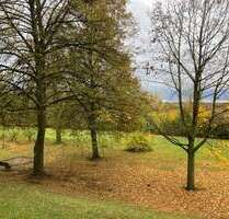 Wohnung zum Mieten in Döbeln 210,00 € 31.4 m²