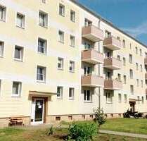 Wohnung zum Mieten in Lauchhammer 250,00 € 49.1 m²