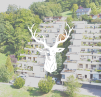 Wohnung zum Kaufen in Küssaberg 415.000,00 € 132 m²