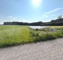 Grundstück in Kirchhaslach Greimeltshofen 69.000,00 € 11153 m² - Kirchhaslach / Greimeltshofen