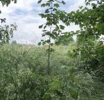 Grundstück zu verkaufen in Offleben 399.000,00 € 7723 m²