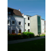 Wohnung zum Mieten in Flensburg 330,00 € 20 m²
