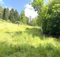 Grundstück zu verkaufen in Bad Wildbad 285.000,00 € 3814 m²