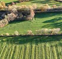 Haus zum Kaufen in Krumstedt 179.000,00 € 95 m²