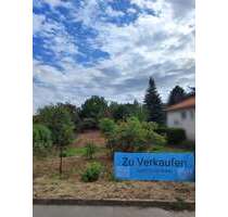 Grundstück zu verkaufen in Quedlinburg 135.000,00 € 997 m²