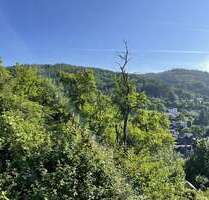 Grundstück zu verkaufen in Adenau 142.900,00 € 1808 m²