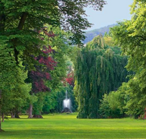 Haus zum Kaufen in Baden-Baden 2.500.000,00 € 320 m²