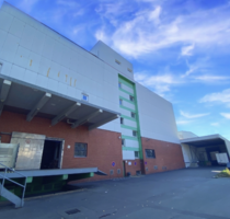 Halle in Berlin 1.170,00 € 130 m²
