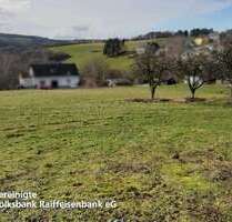 Grundstück zu verkaufen in Schönberg 34.994,70 € 702 m²