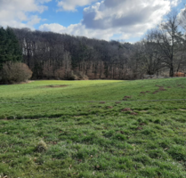 Grundstück zu verkaufen in Waldmohr 383.000,00 € 2127 m²