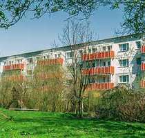 Wohnung zum Mieten in Prenzlau 385,00 € 60.8 m²