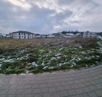 Grundstück zu verkaufen in Welschbillig 125.000,00 € 560 m²