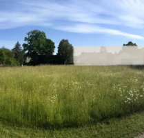Grundstück zu verkaufen in Nittenau 135.000,00 € 800 m²