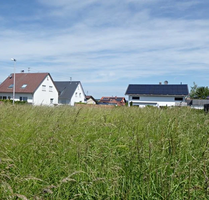 Grundstück zu verkaufen in Nagold-Hochdorf 185.000,00 € 571 m²
