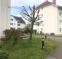 Wohnung zum Kaufen in Leipzig 96.500,00 € 35.73 m²