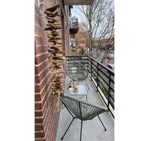 Wohnung zum Mieten in Mannheim 1.050,00 € 98 m²