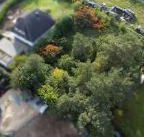 Grundstück zu verkaufen in Bergen (Dumme) 45.500,00 € 1095 m²