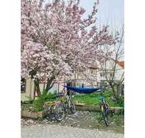 Wohnung zum Mieten in Göttingen 550,00 € 50 m²