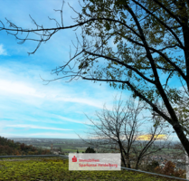 Grundstück zu verkaufen in Schriesheim 475.000,00 € 839 m²