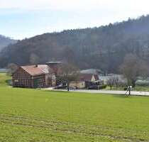 Haus zum Kaufen in Freden 525.000,00 € 298 m²