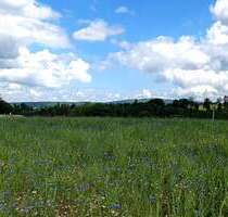 Grundstück zu verkaufen in AuerbachVogtland 94.080,00 € 672 m² - Auerbach/Vogtland