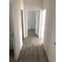 Wohnung zum Mieten in Löbau 295,00 € 59 m²