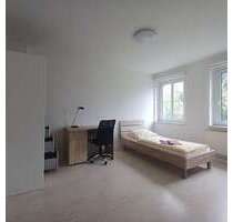 Wohnung zum Mieten in Freiberg 386,00 € 47.88 m²