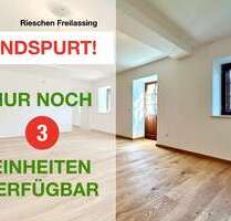 Wohnung zum Kaufen in Freilassing 368.000,00 € 63.23 m²