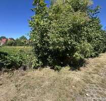Grundstück zu verkaufen in Wiedemar 160.000,00 € 1000 m²