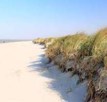 Wohnung zum Kaufen in Wangerland 435.000,00 € 86.68 m²