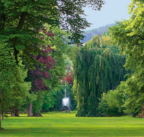 Haus zum Kaufen in Baden-Baden 2.500.000,00 € 475 m²