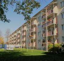 Wohnung zum Mieten in Wurzen 385,00 € 58.66 m²
