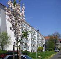 Wohnung zum Mieten in Wurzen 375,00 € 60.45 m²