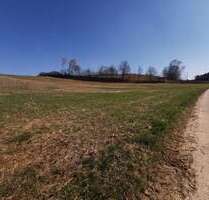 Grundstück in Wolnzach 210.000,00 € 17825 m²