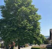 Wohnung zum Mieten in Bad Säckingen 1.250,00 € 97.37 m²