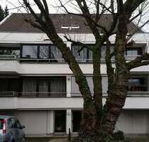 Büro in Köln 600,00 € 50 m² - 600,00 EUR Kaltmiete, ca.  50,00 m² in Köln (PLZ: 50858)