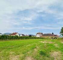 Wohnung zum Kaufen in Edesheim 470.250,00 € 95 m²
