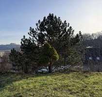 Haus zum Kaufen in Coburg 249.000,00 € 257 m²