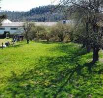 Grundstück zu verkaufen in Cölbe 124.900,00 € 626 m²