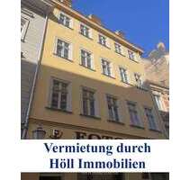Wohnung zum Mieten in Halle 390,00 € 47 m²