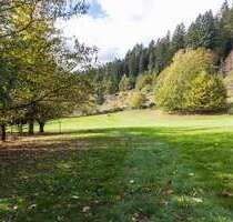 Haus zum Kaufen in Baden-Baden 1.399.000,00 € 600 m²