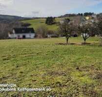 Grundstück zu verkaufen in Schönberg 49.053,00 € 984 m²